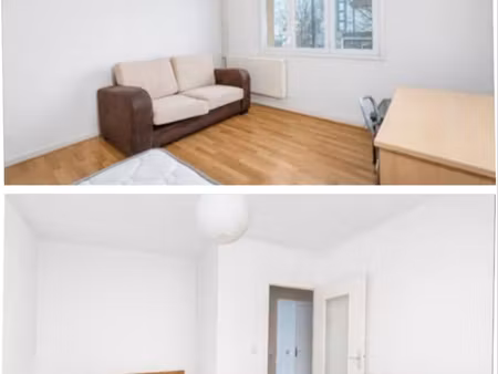 t1 bis meublé 31 6m² avenue drapeau