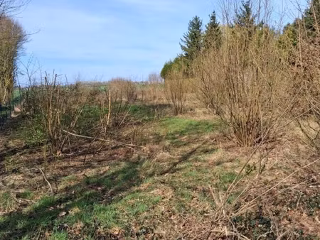 terrain 2 386 m² revelles