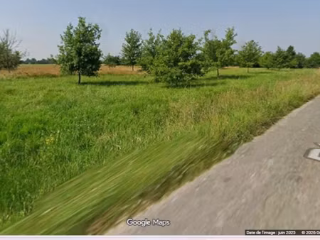 terrain agricole