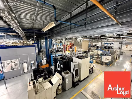 local d'activite 8252 m² chatellerault
