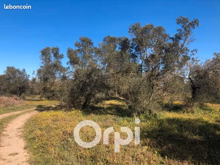 terrain agricole 5 800 m² beaucaire