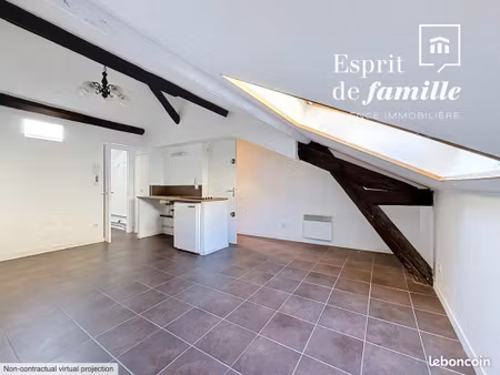 appartement 1 pièce 19 m²