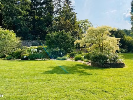 terrain 467 m² monnaie