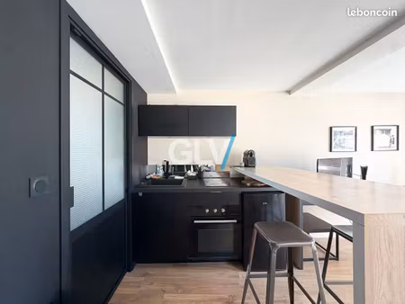 studio 1 pièce 19 m²