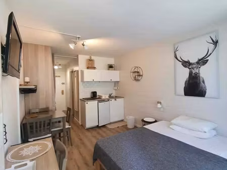 studio 1 pièce 20 m²