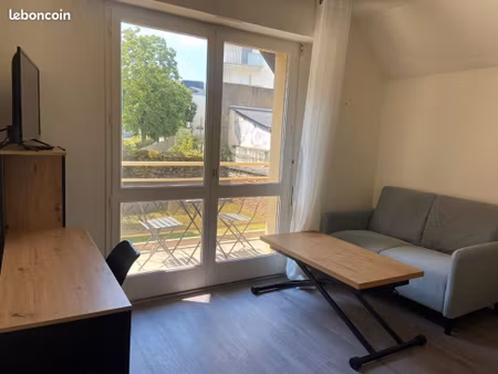 t1bis proche centre  libre  traversant