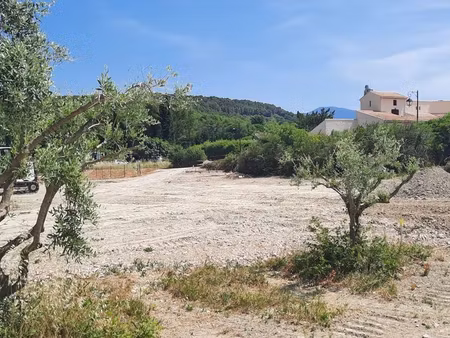 terrain 458 m² caromb