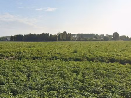 terrain 489 m² raches