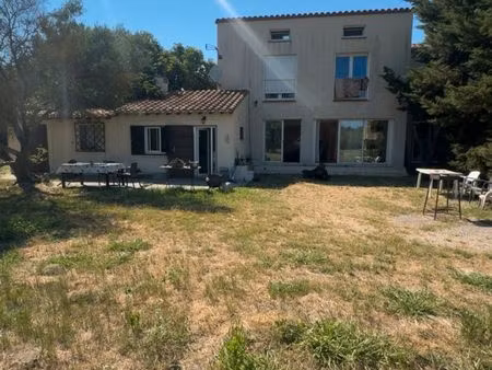 mas rare et isolé en salanque