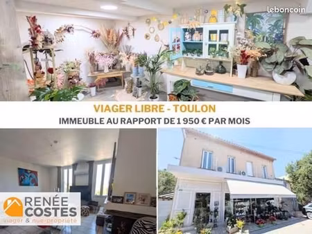 immeuble en viager 8 pièces 241 m²
