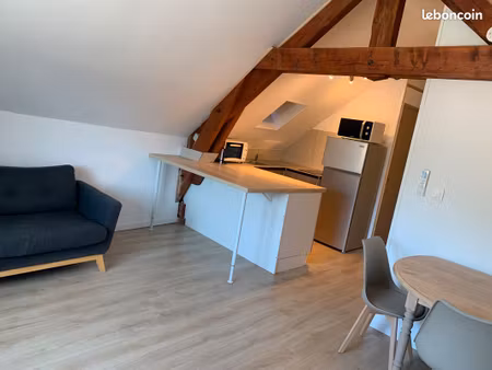 appartement lumineux de 36m² refait à neuf