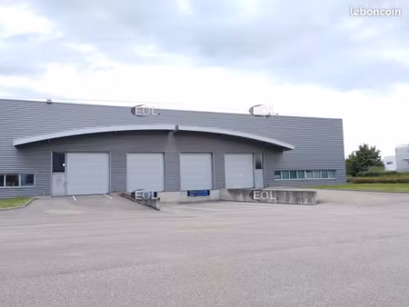 local bureaux 972 m²