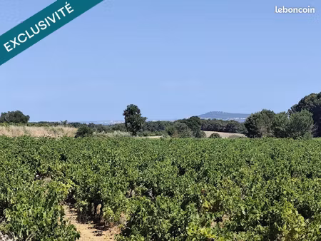 terrain 4800 m² montagnac