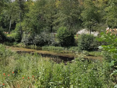 terrain bord riviere