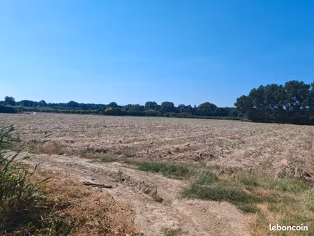 terrain agricole