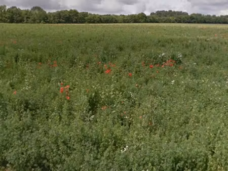 terrain 870 m² juniville