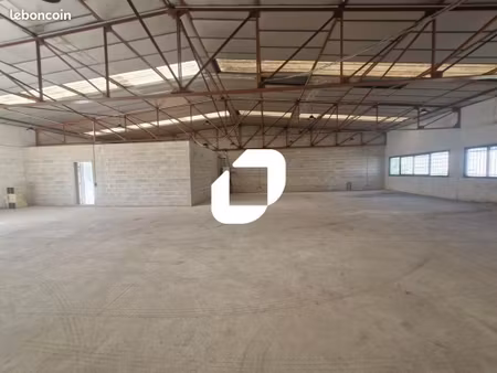 local d'activité 300 m²