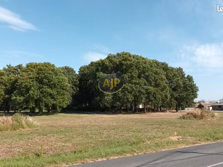 terrain 3887 m² soulac sur mer