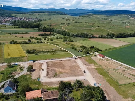 terrain 709 m² bergholtz