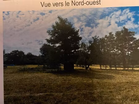 terrain constructible