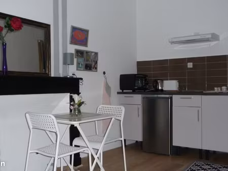 studio 1 pièce 19 m²