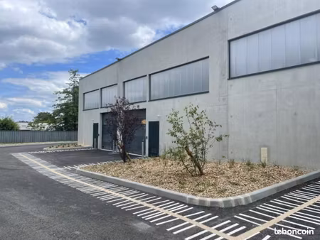 local bureaux 246 m²