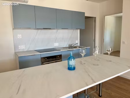 bel appartement tout rénové  climatisé - haut d'idron  proche marché - vue pyrénées