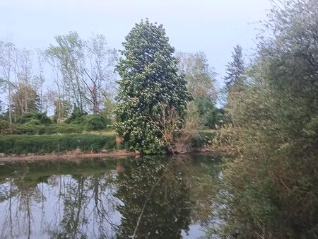 chalet cadastré sur terrain de 1 000 m² – bord de seine (78270)