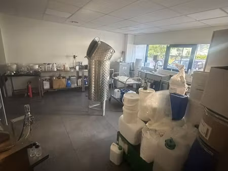 local professionnel rénové de 160 m² avec atelier  bureaux et parking