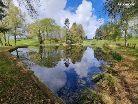 terrain 4 202 m² saint yrieix la perche