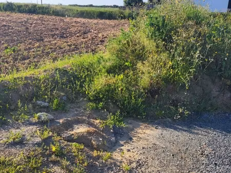 terrain 335 m² plouenan