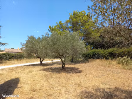 terrain constructible