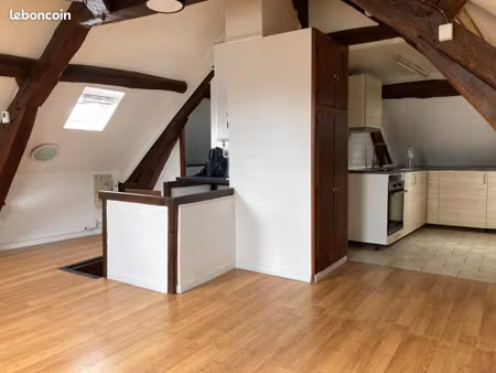 studio 1 pièce 21 m²