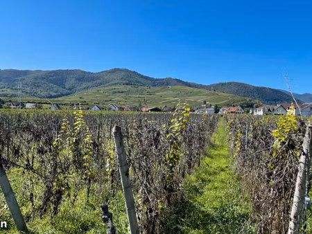 terrain 252 m² wintzenheim