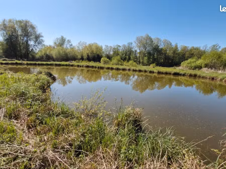 terrain de loisirs avec etang
