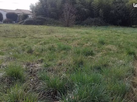terrain constructible
