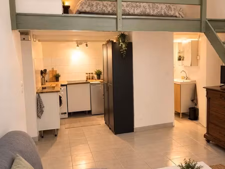appartement meublé avec mezzanine - centre historique