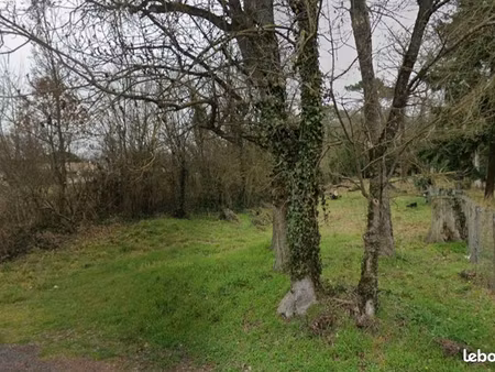 terrain constructible