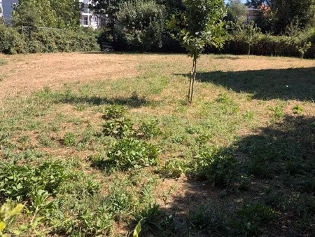 terrain constructible
