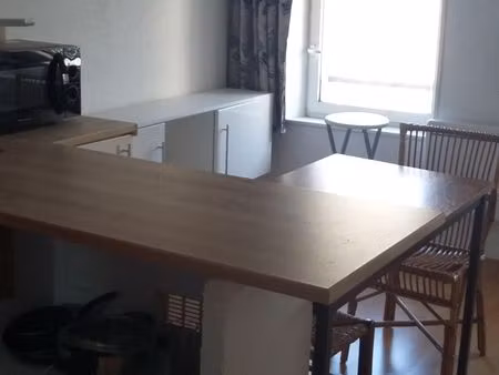 studio 1 pièce 19 m²