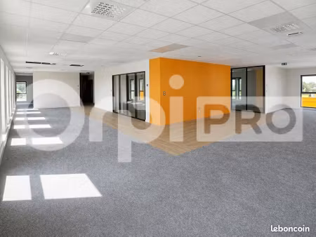 bureau 66 m²