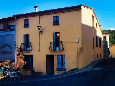 à vendre gander maison a saint martin de fenouillet