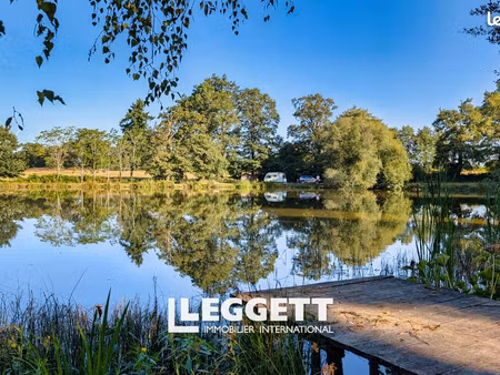 terrain 14 594 m² saint pardoux le lac