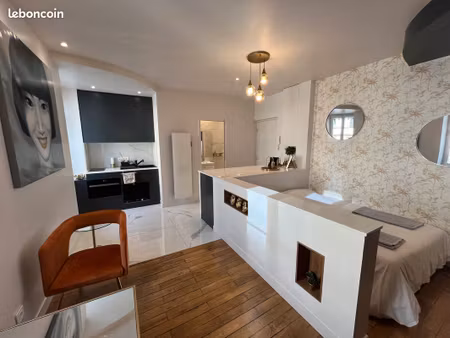 montplaisir - studio d exception - renovation complete - dpe c