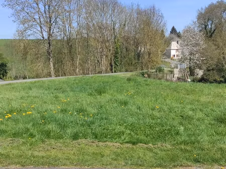 terrain constructible