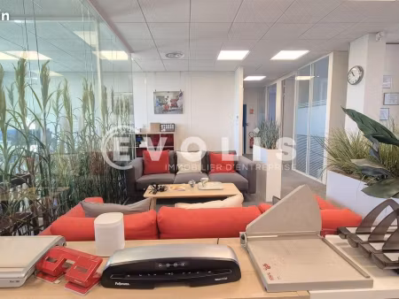 bureaux 245 m²