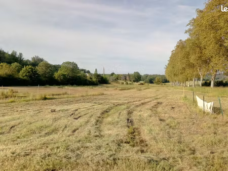 terrain de loisirs à vendre ou fermage agricole - roquecor 82150