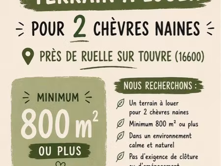 recherche terrain location
