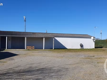 commerce 517 m²