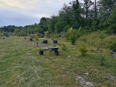 terrain agricole 1hectare bord de rivière